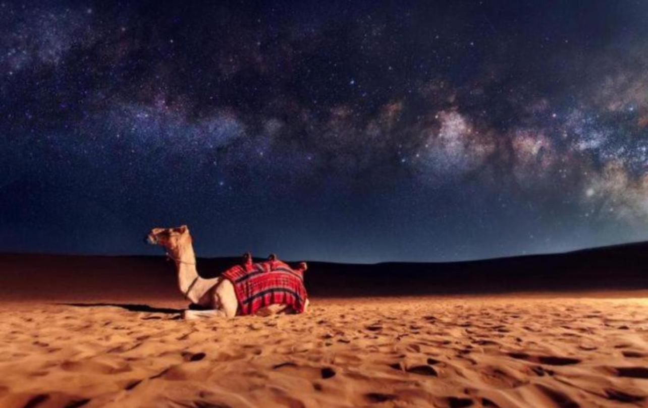 Bedouin Bunch Camp Hotel Rum vádi Kültér fotó