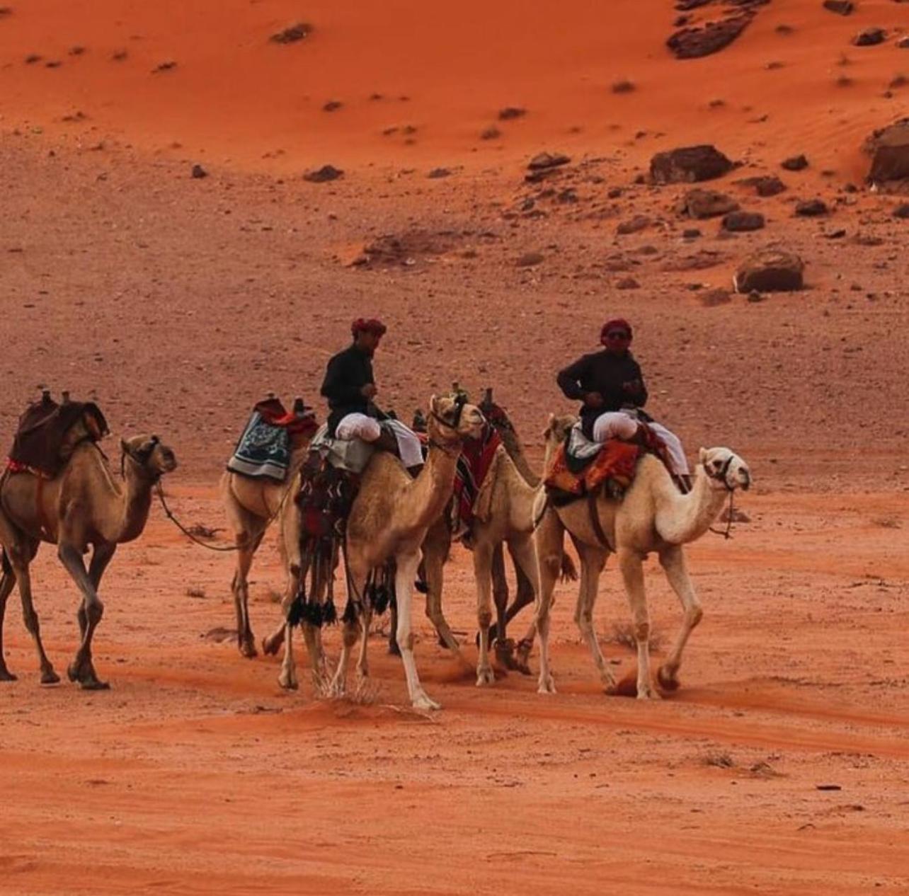 Bedouin Bunch Camp Hotel Rum vádi Kültér fotó