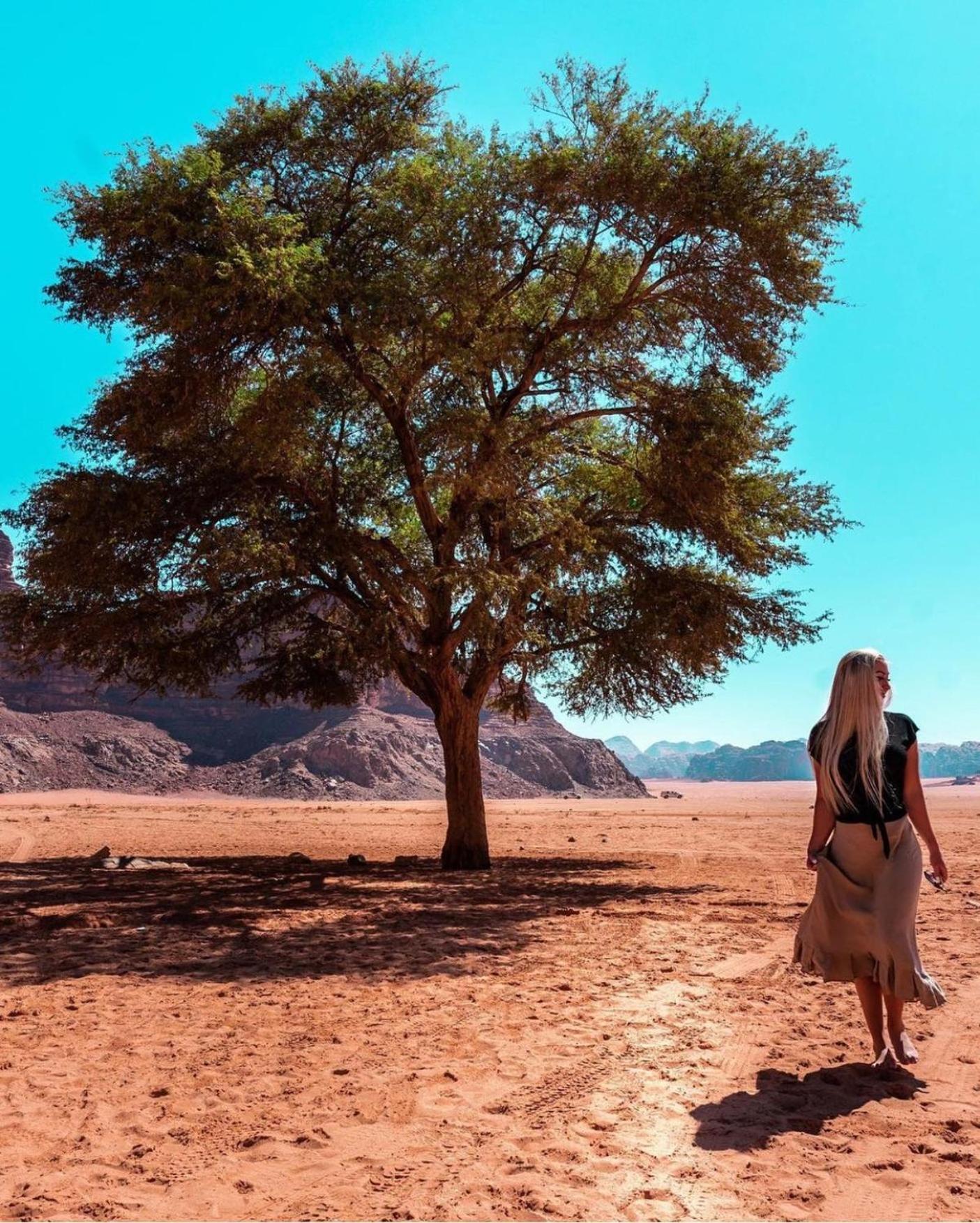 Bedouin Bunch Camp Hotel Rum vádi Kültér fotó