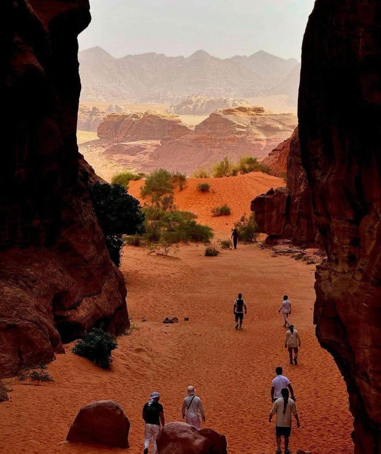 Bedouin Bunch Camp Hotel Rum vádi Kültér fotó